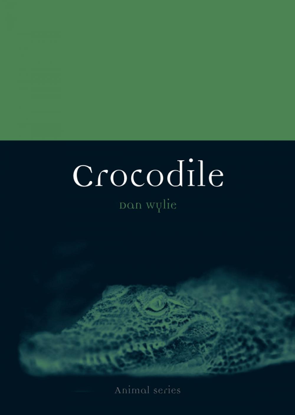 Big bigCover of Crocodile