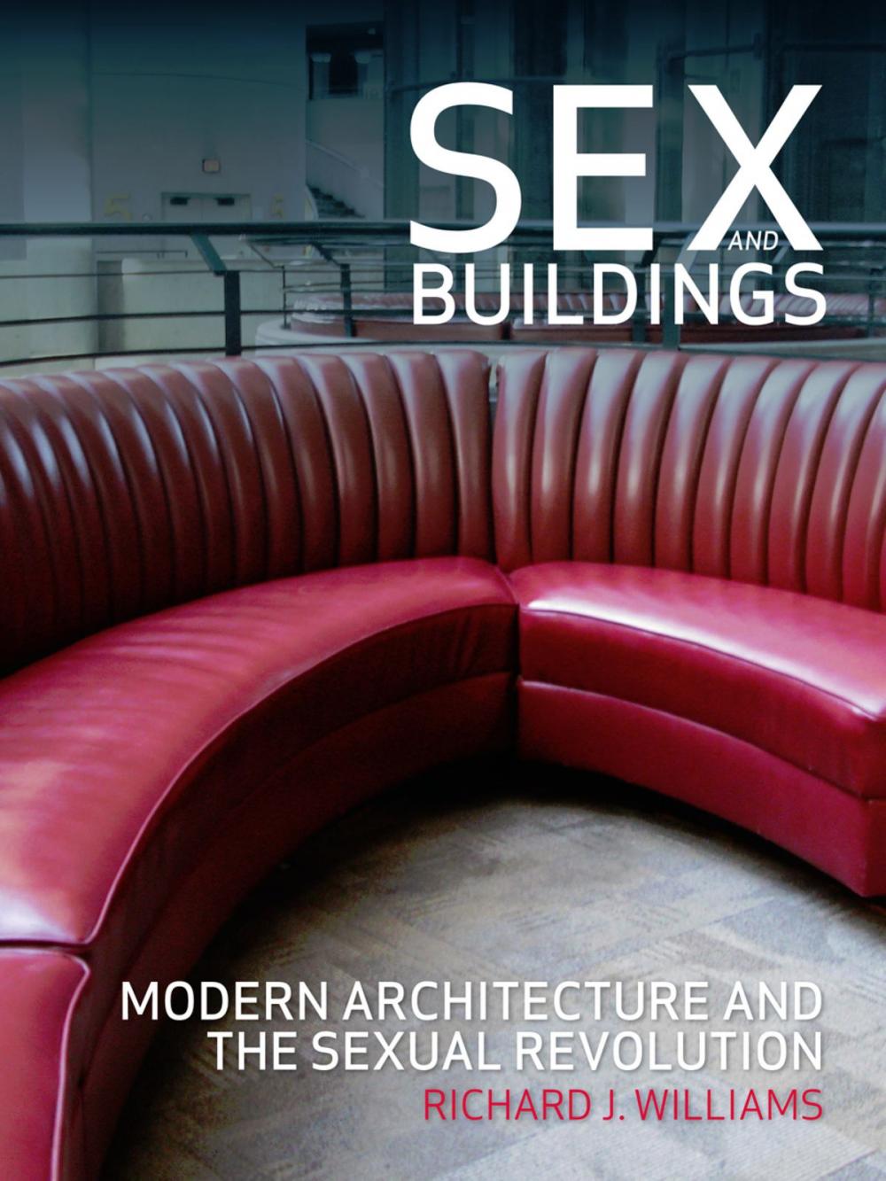 Big bigCover of Sex and Buildings