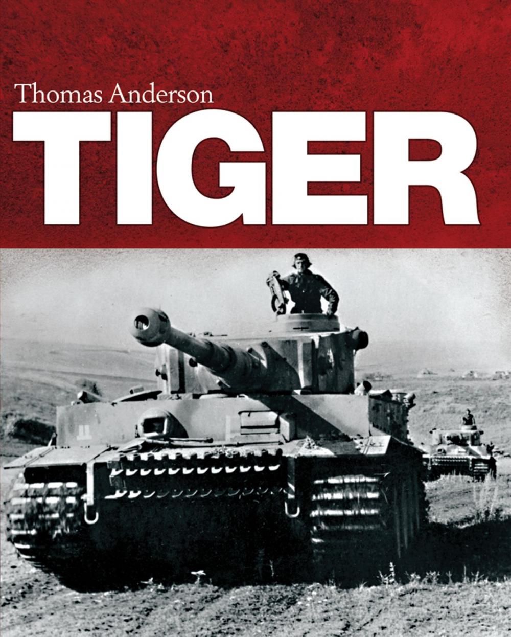 Big bigCover of Tiger