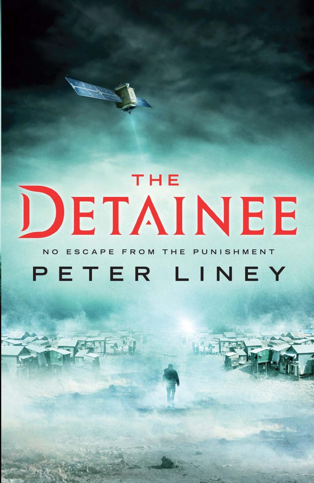 Big bigCover of The Detainee