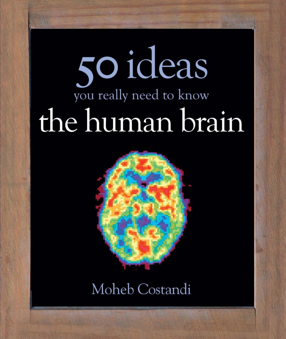 Big bigCover of 50 Human Brain Ideas You Really Need to Know