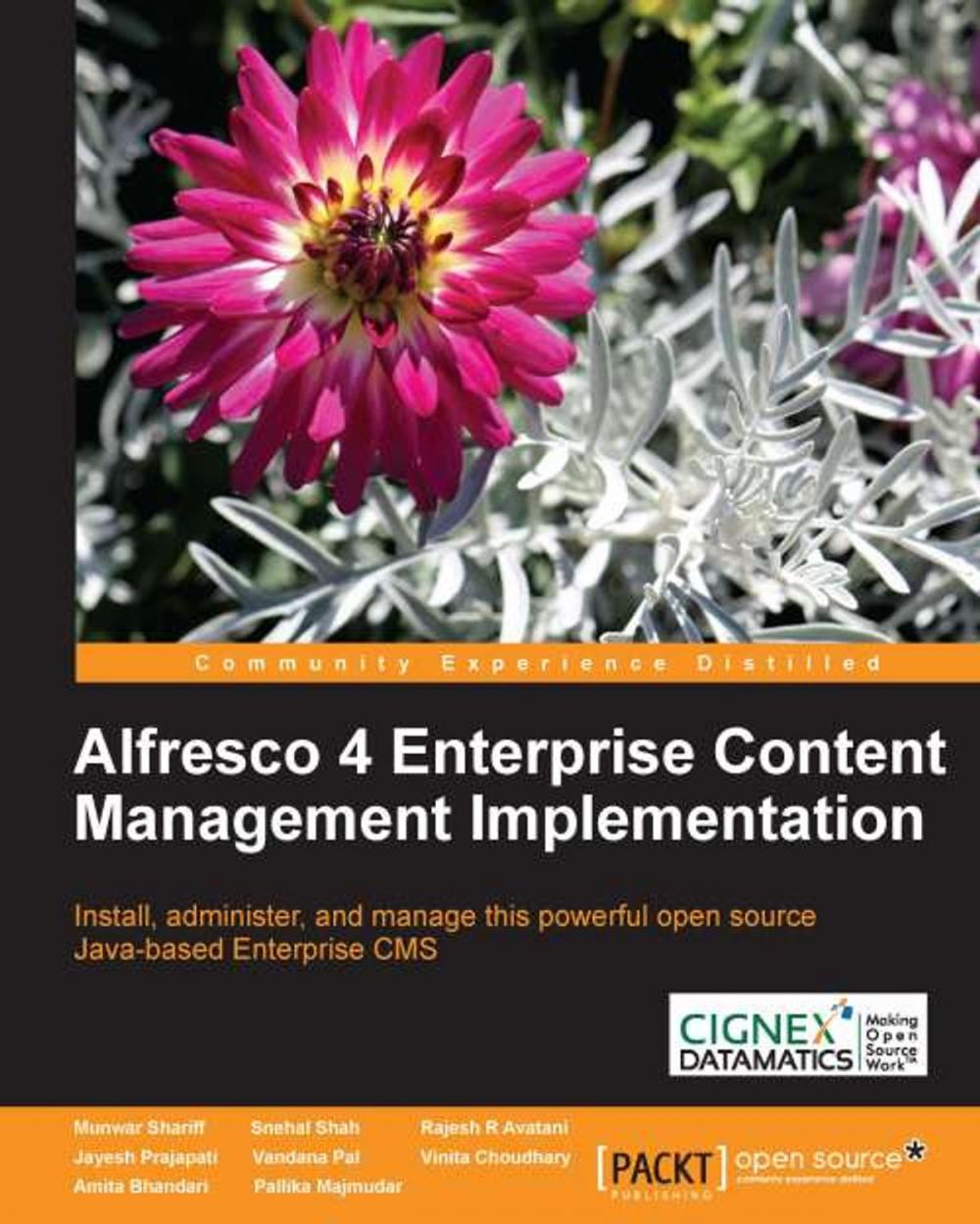 Big bigCover of Alfresco 4 Enterprise Content Management Implementation