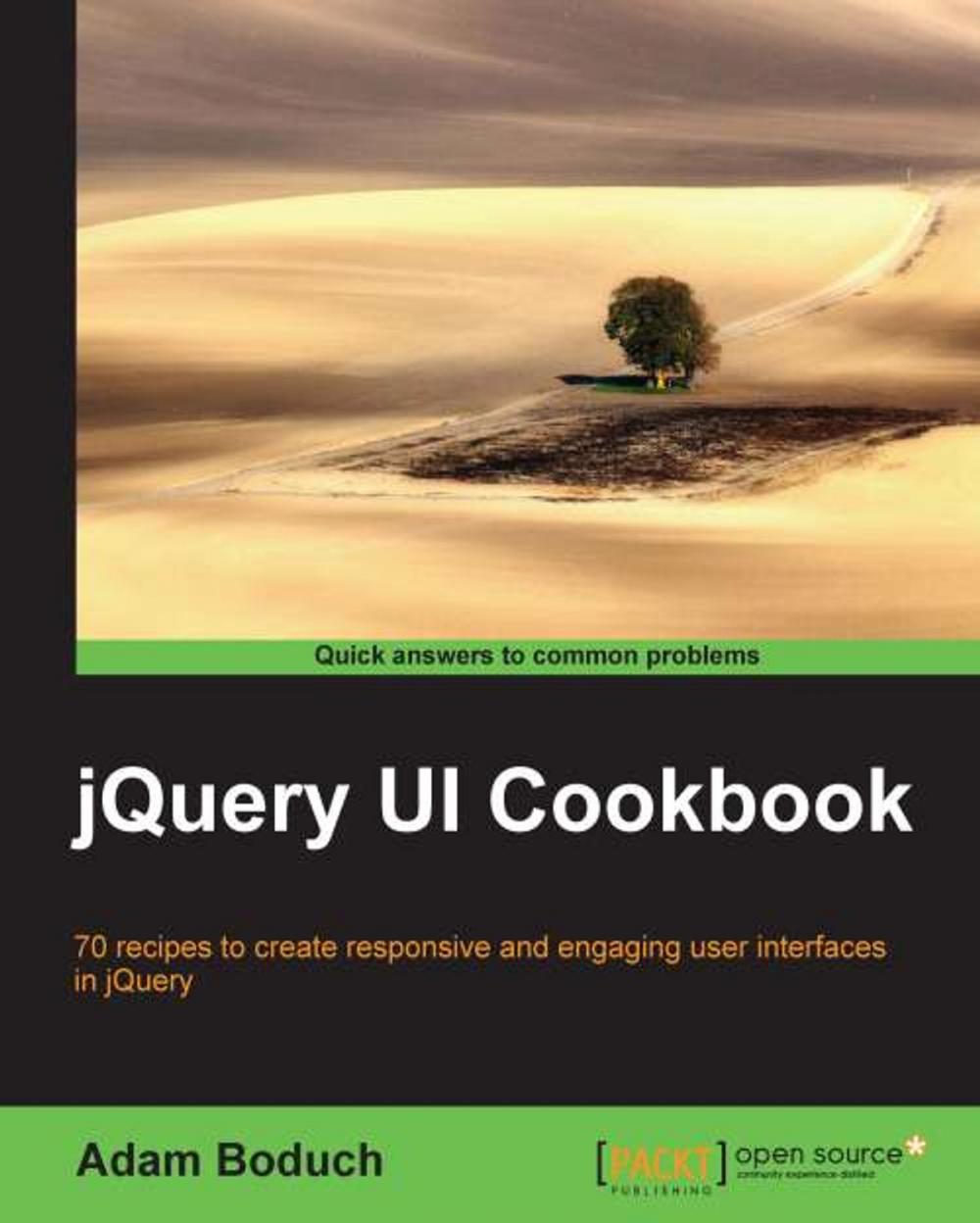 Big bigCover of jQuery UI Cookbook