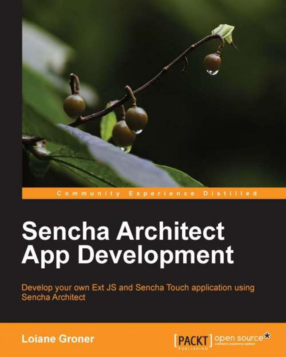 Big bigCover of Sencha Architect App Development