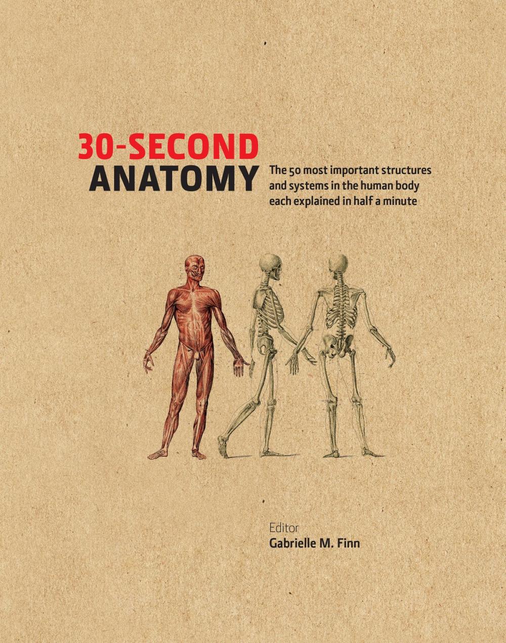 Big bigCover of 30-Second Anatomy: The 50 most important structures and systems in the human body each explained in under half a minute