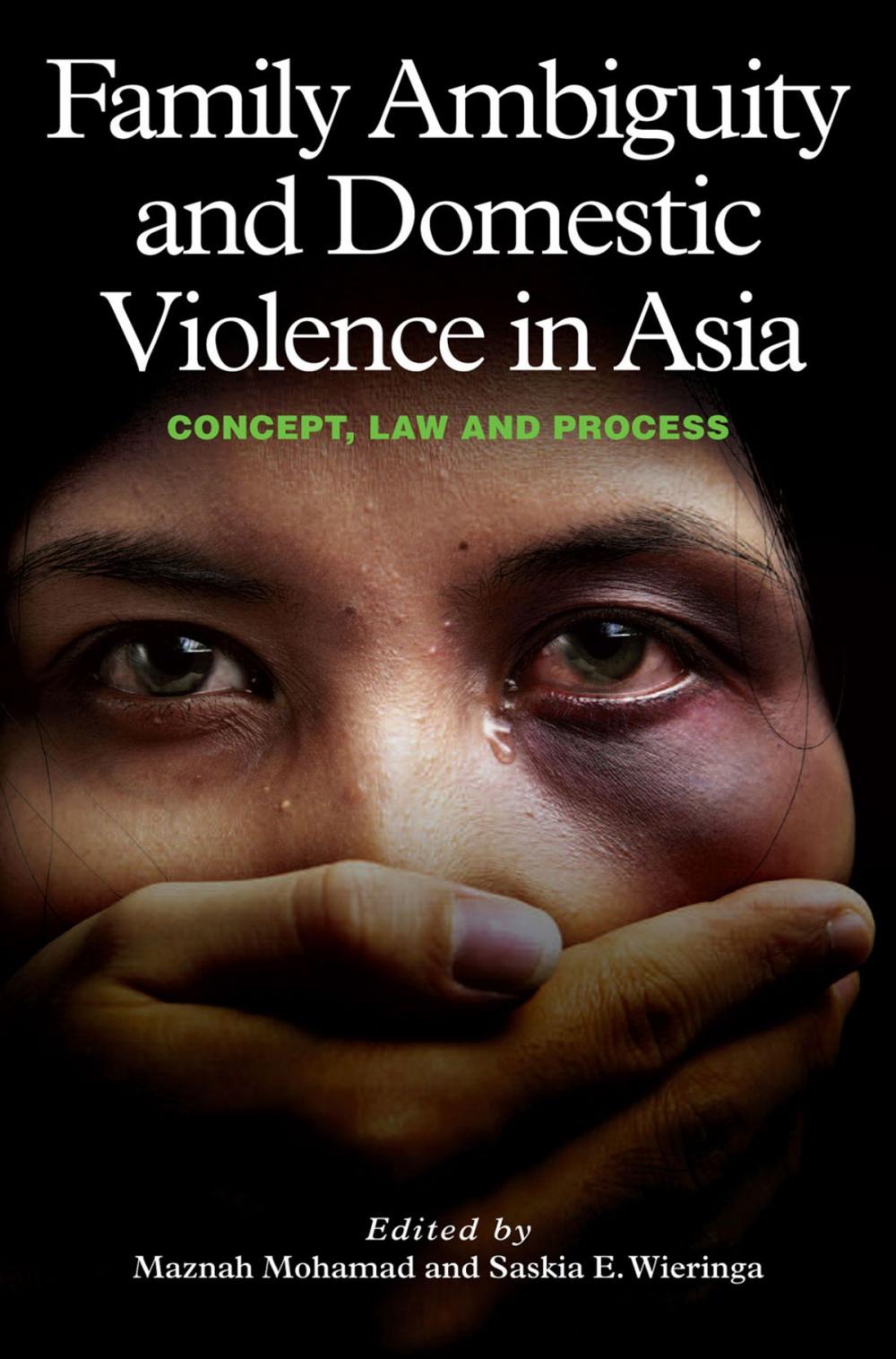 Big bigCover of Family Ambiguity and Domestic Violence in Asia