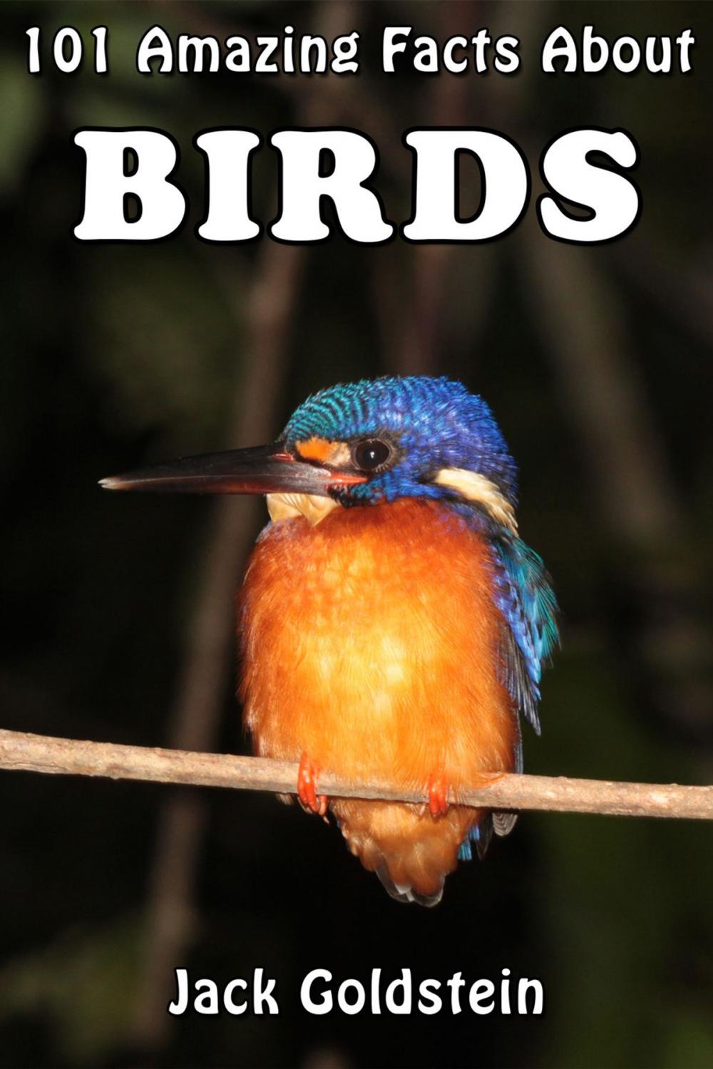 Big bigCover of 101 Amazing Facts About Birds