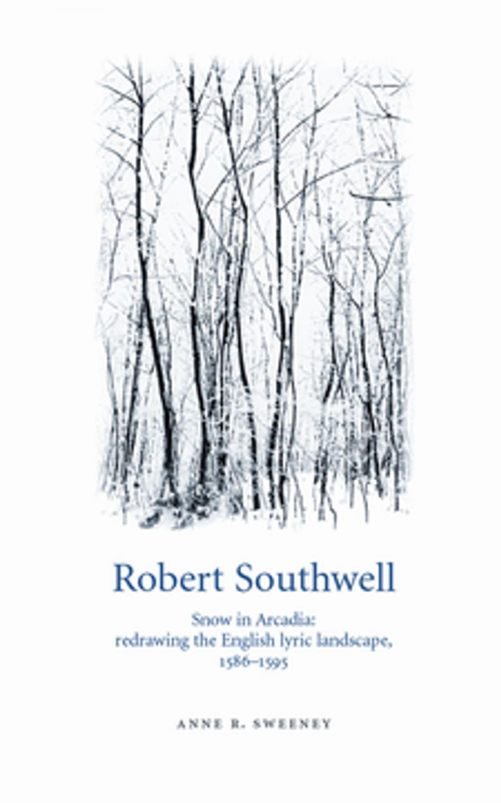 Big bigCover of Robert Southwell