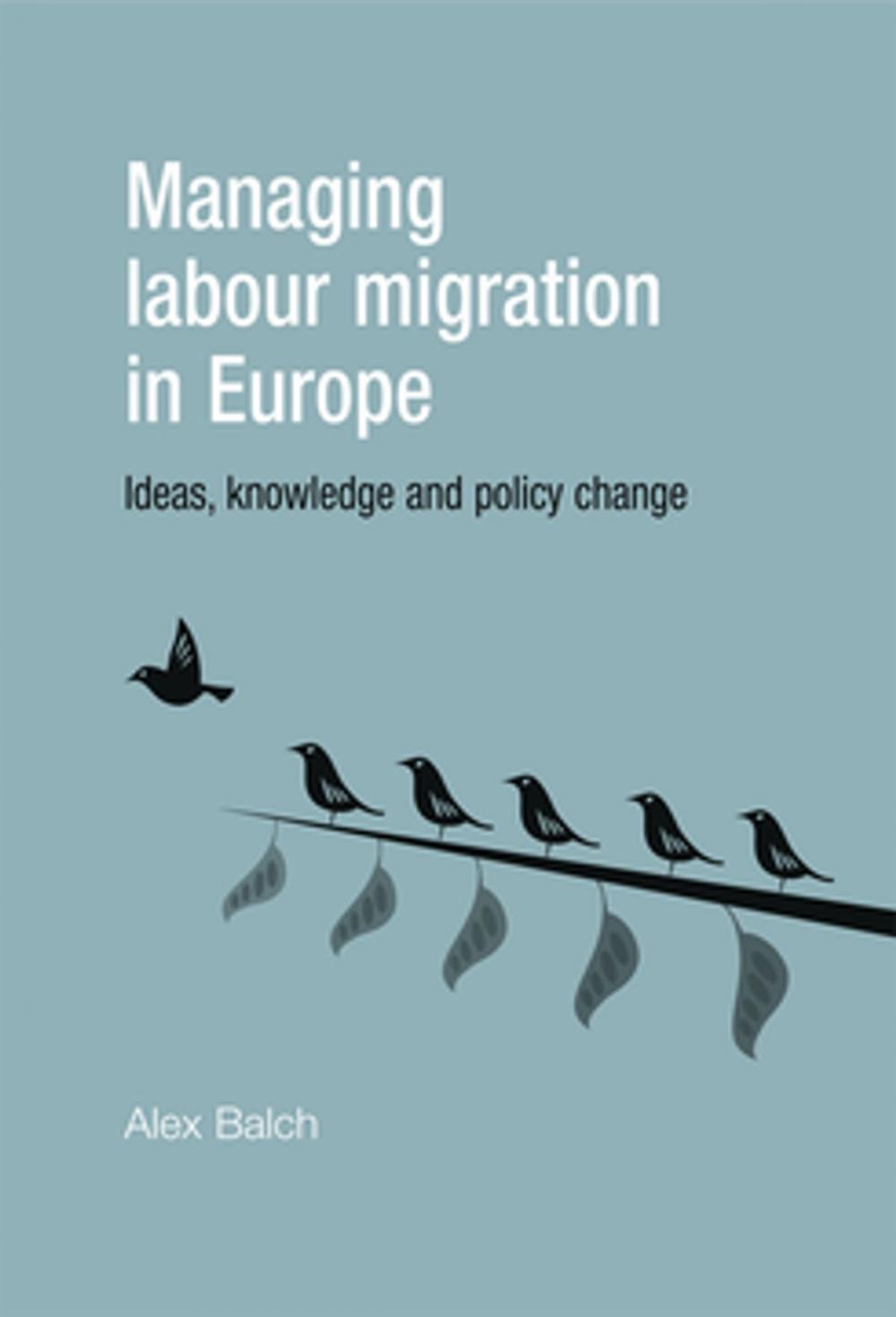 Big bigCover of Managing labour migration in Europe