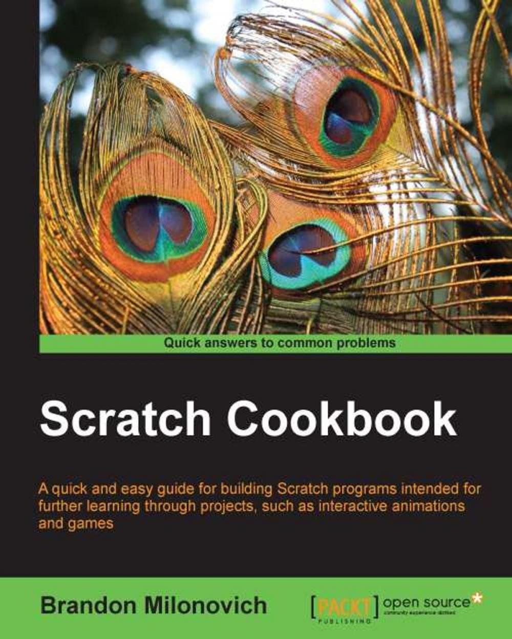 Big bigCover of Scratch Cookbook