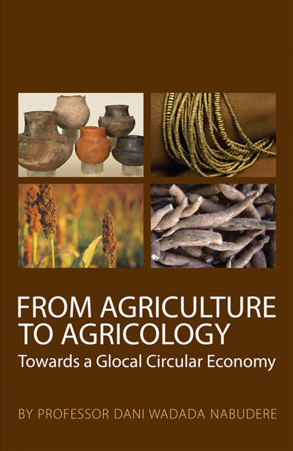 Big bigCover of From Agriculture to Agricology