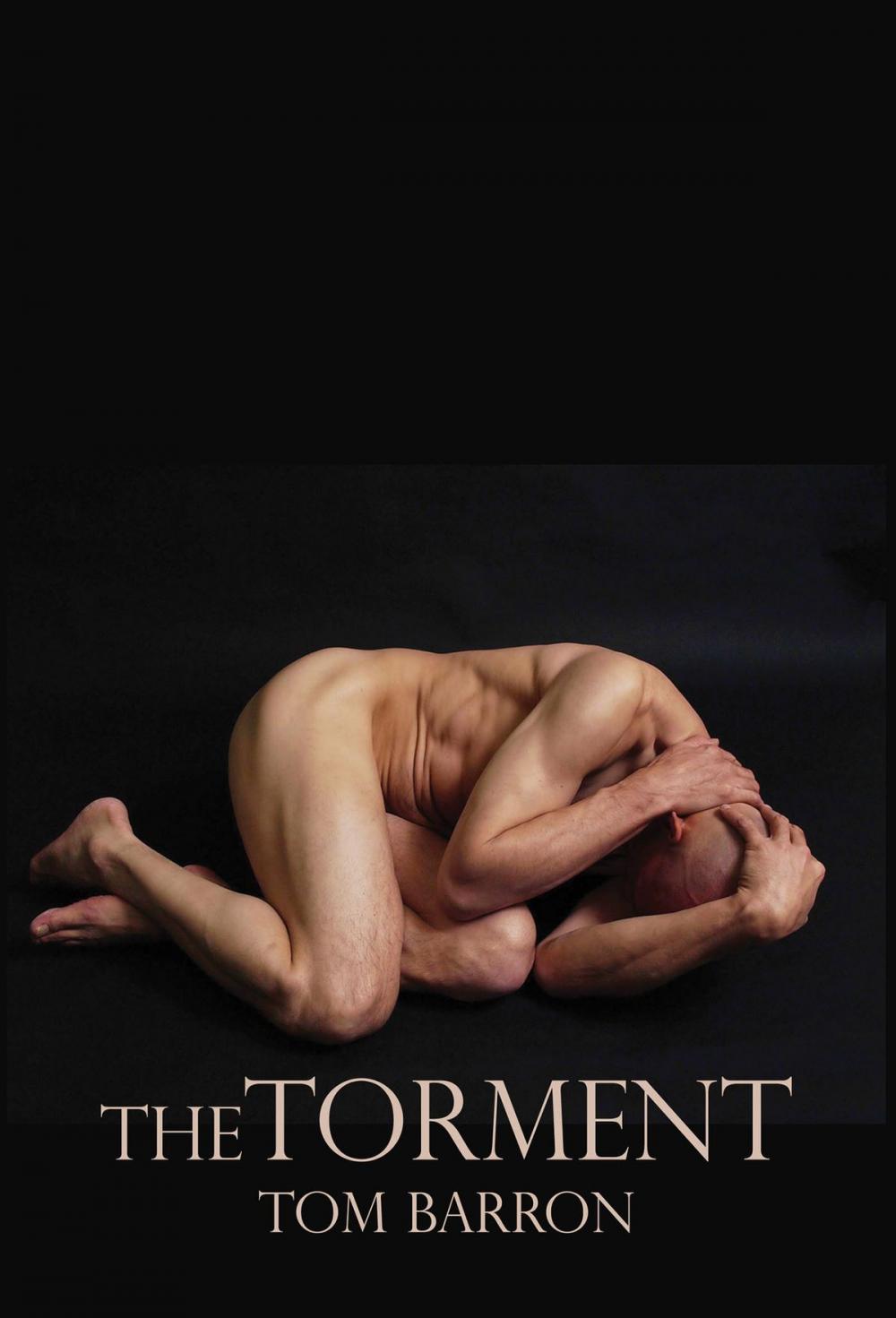 Big bigCover of The Torment