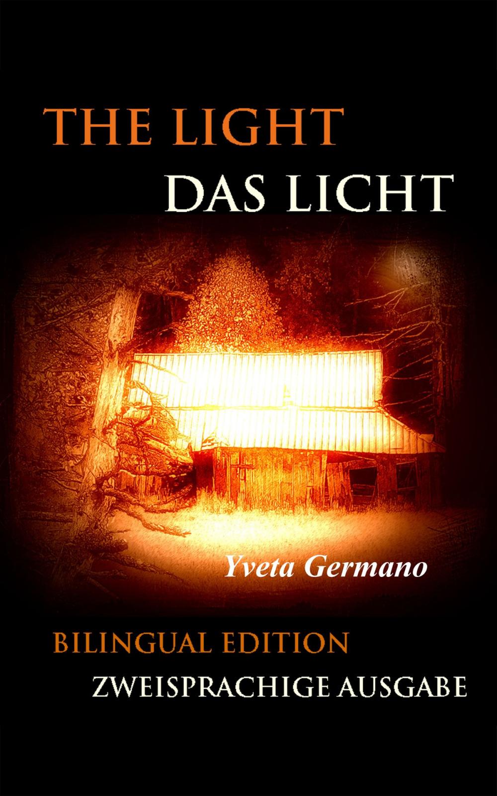 Big bigCover of The Light/Das Licht