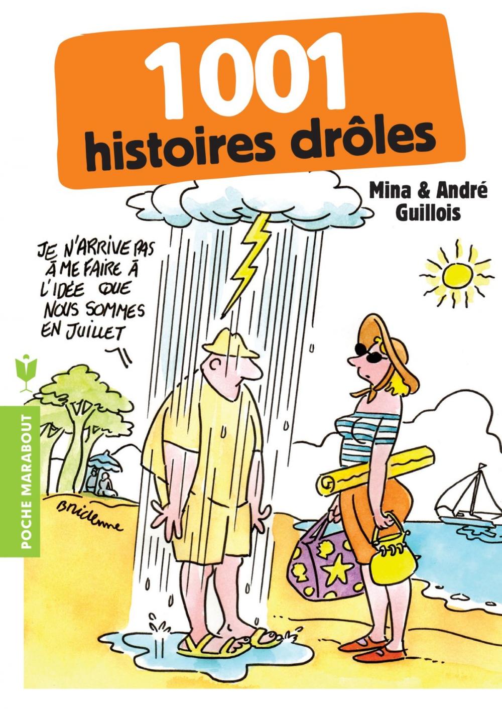 Big bigCover of 1001 histoires drôles