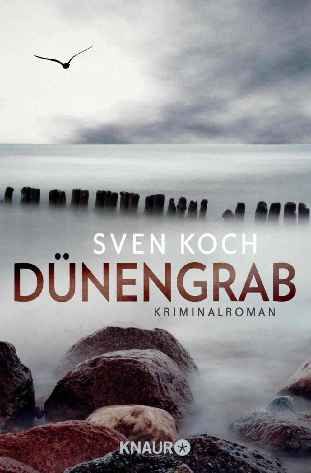 Big bigCover of Dünengrab