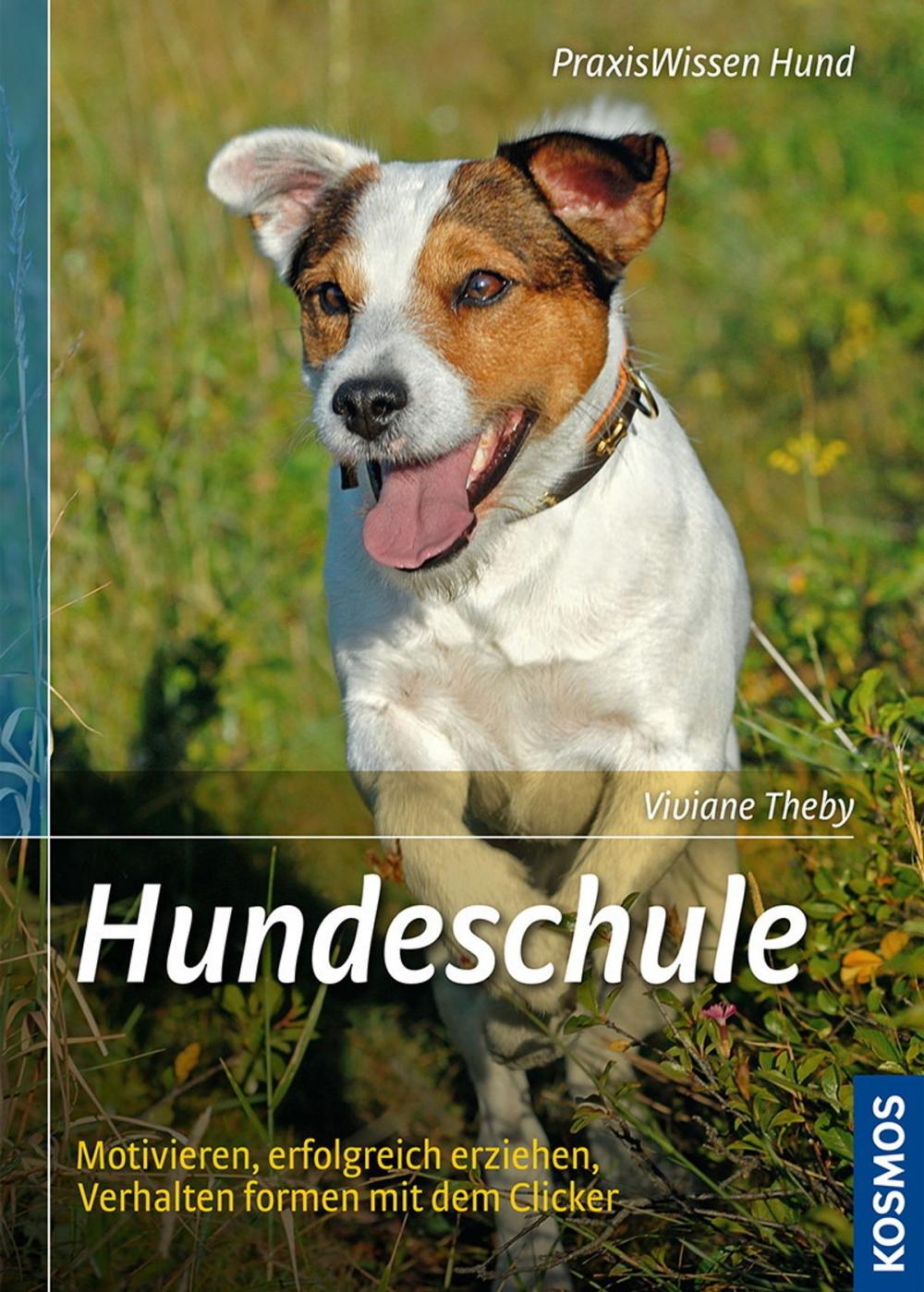 Big bigCover of Hundeschule