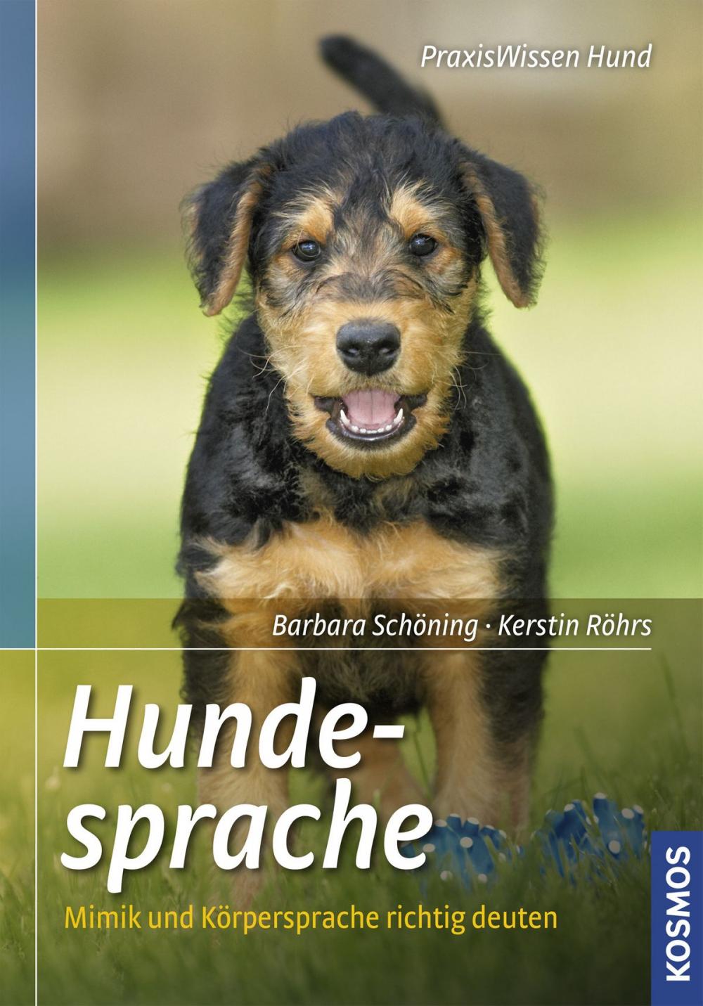 Big bigCover of Hundesprache