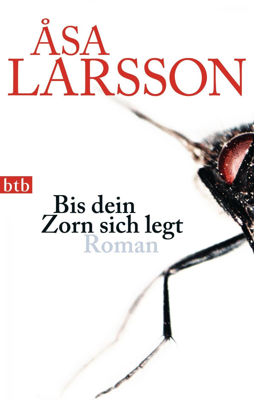 Big bigCover of Bis dein Zorn sich legt