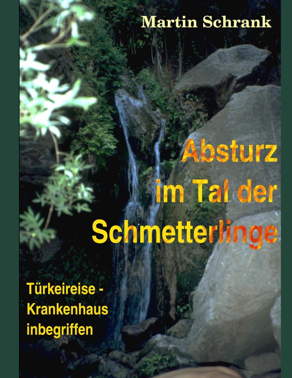 Big bigCover of Absturz im Tal der Schmetterlinge