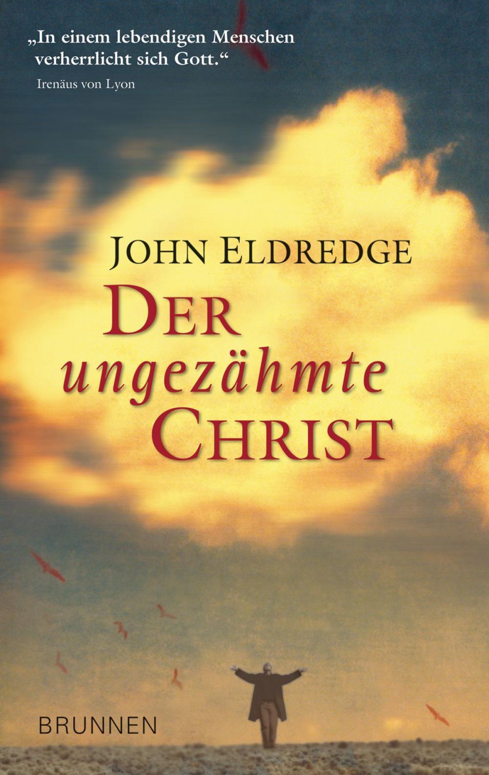 Big bigCover of Der ungezähmte Christ