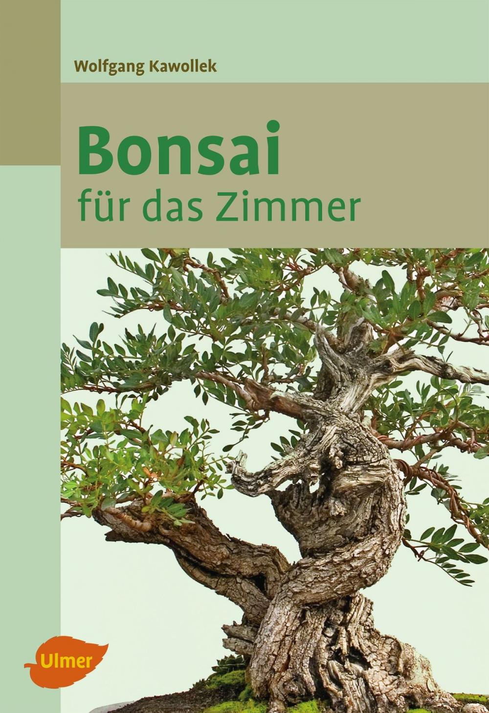 Big bigCover of Bonsai für das Zimmer