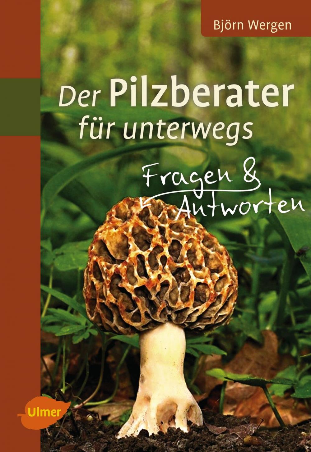 Big bigCover of Der Pilzberater für unterwegs