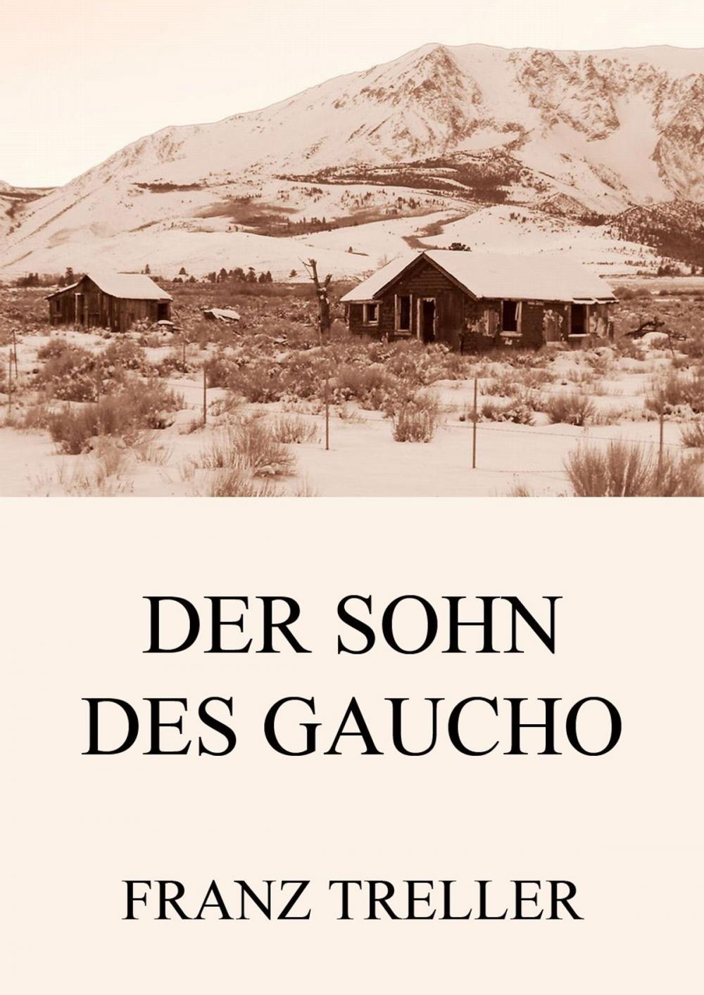 Big bigCover of Der Sohn des Gaucho