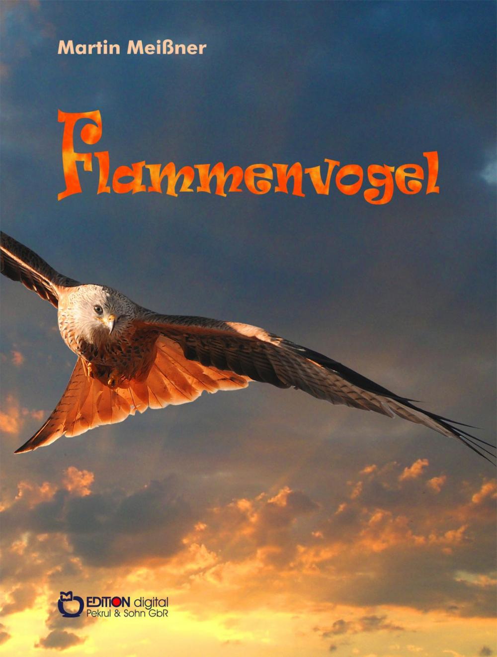 Big bigCover of Flammenvogel