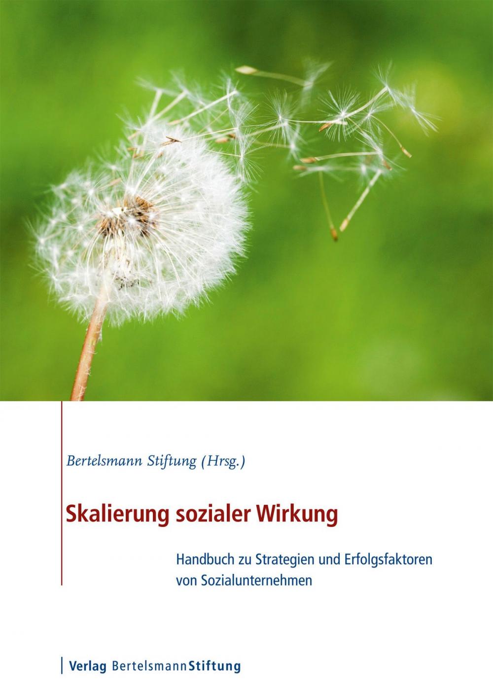 Big bigCover of Skalierung sozialer Wirkung