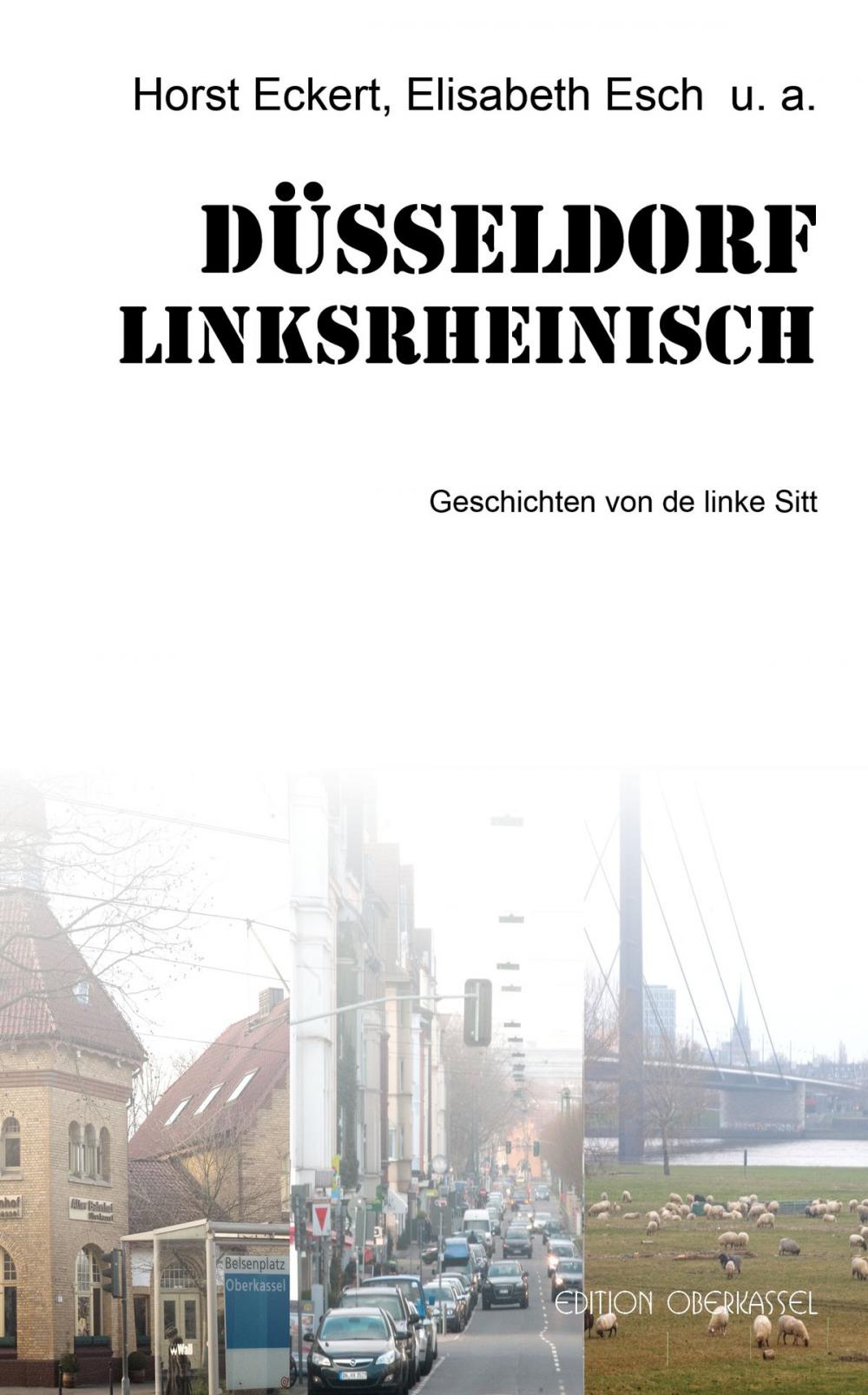 Big bigCover of Düsseldorf linksrheinisch