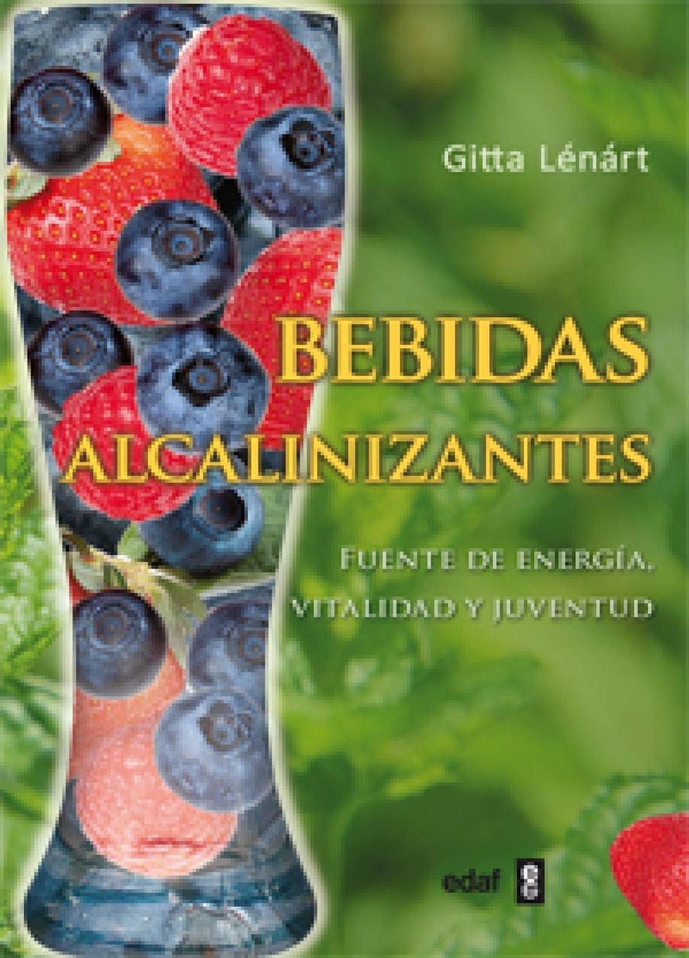 Big bigCover of Bebidas alcalinizantes