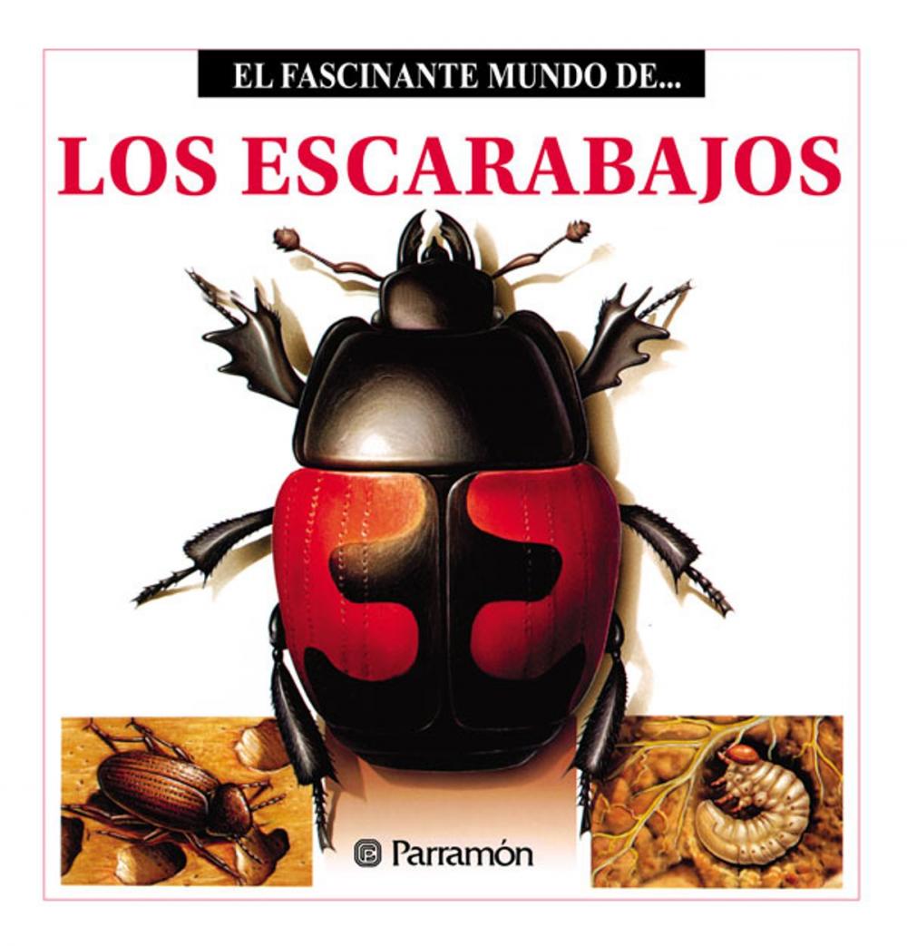 Big bigCover of Los Escarabajos