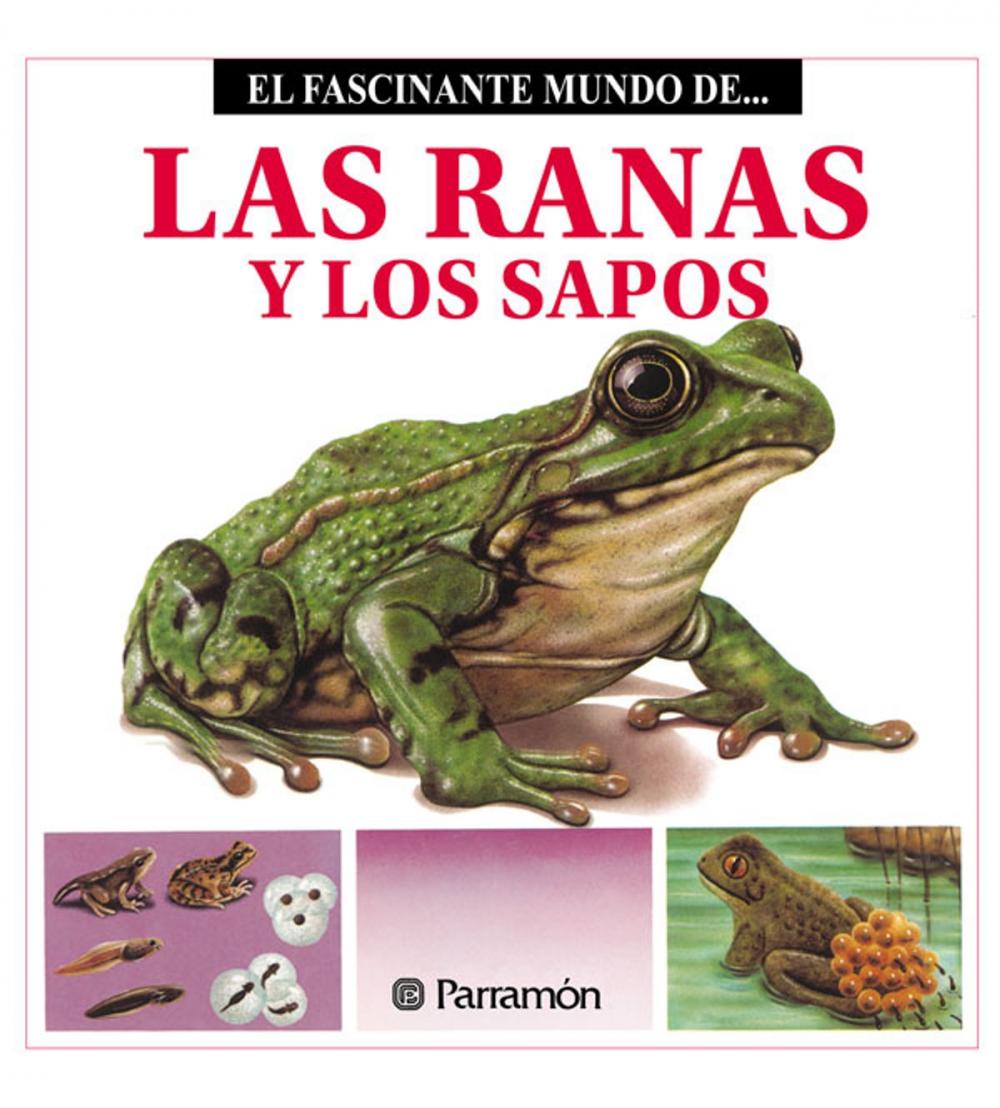 Big bigCover of Las Ranas y los Sapos