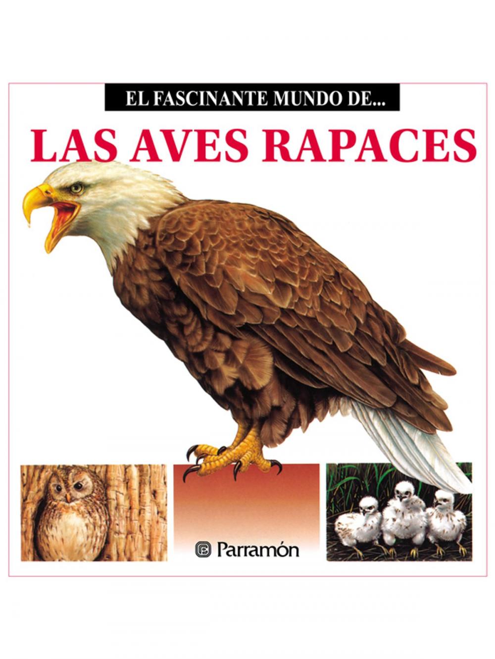 Big bigCover of Las Aves Rapaces