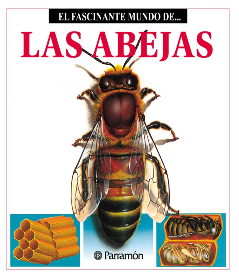 Big bigCover of Las Abejas