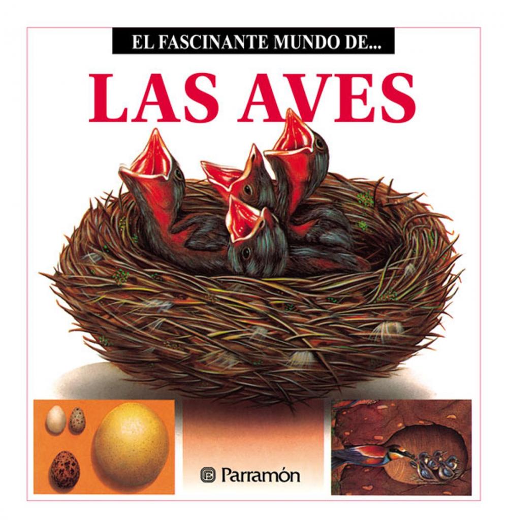 Big bigCover of Las Aves