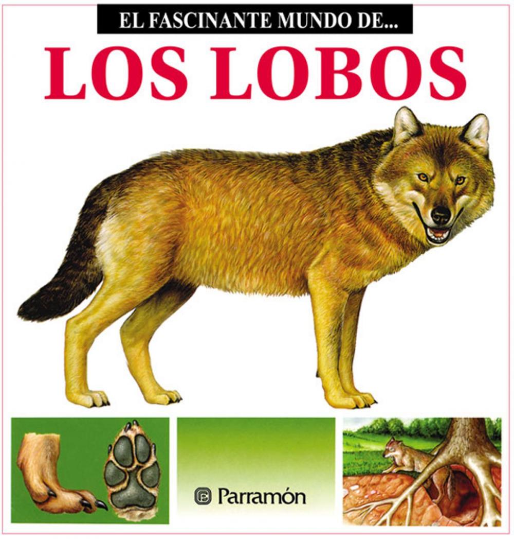 Big bigCover of Los Lobos