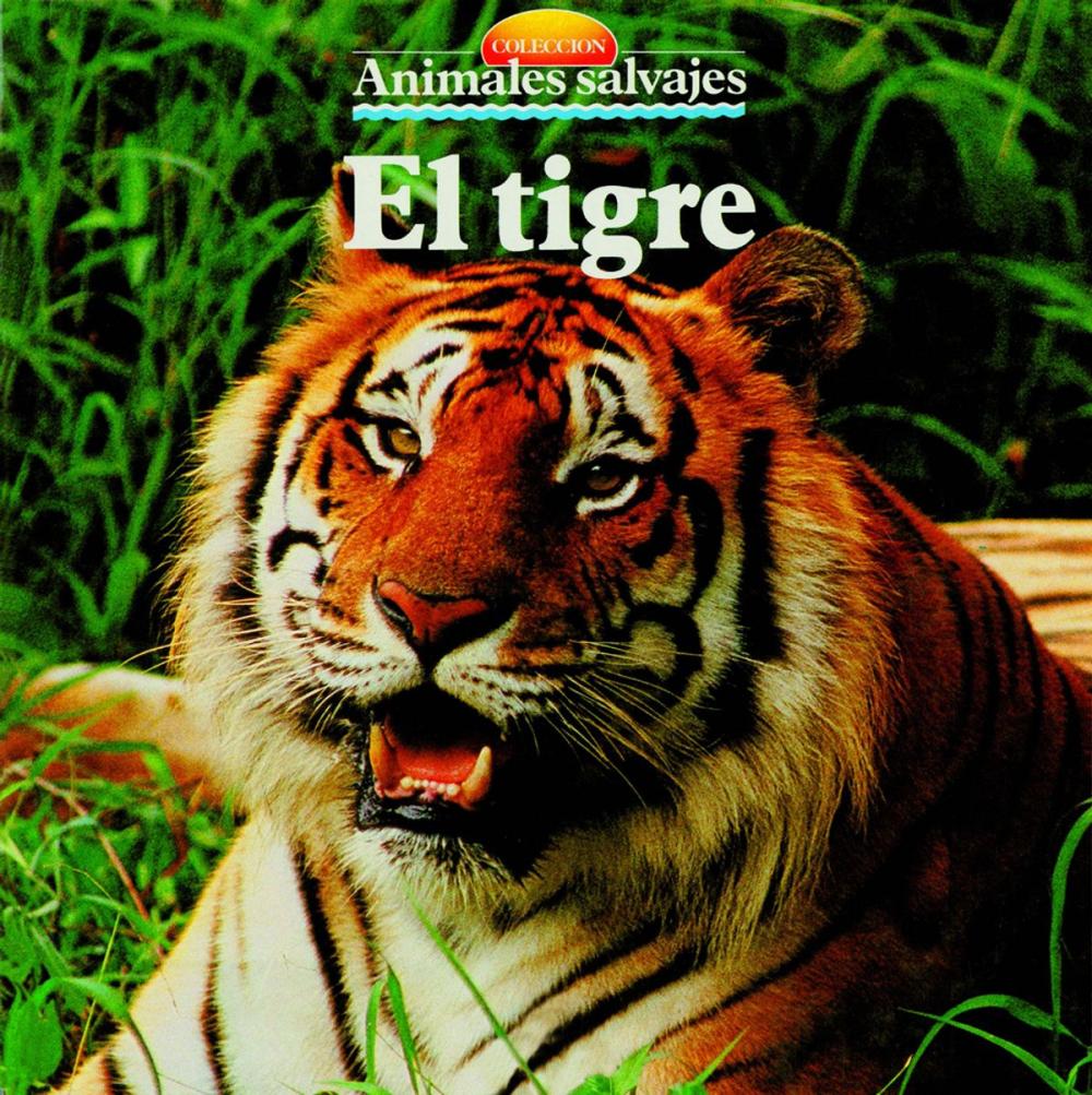 Big bigCover of El tigre