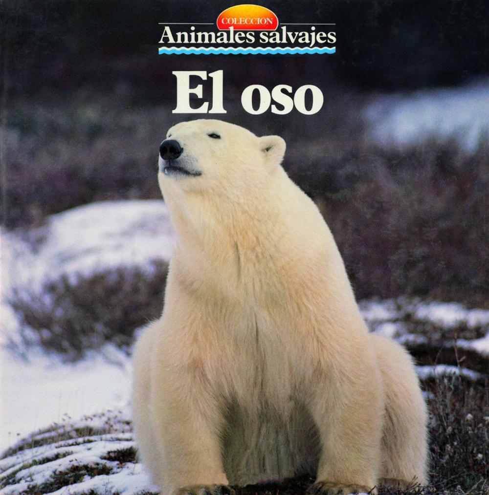 Big bigCover of El oso