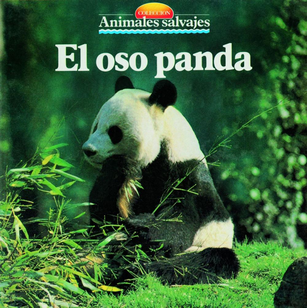 Big bigCover of El oso panda