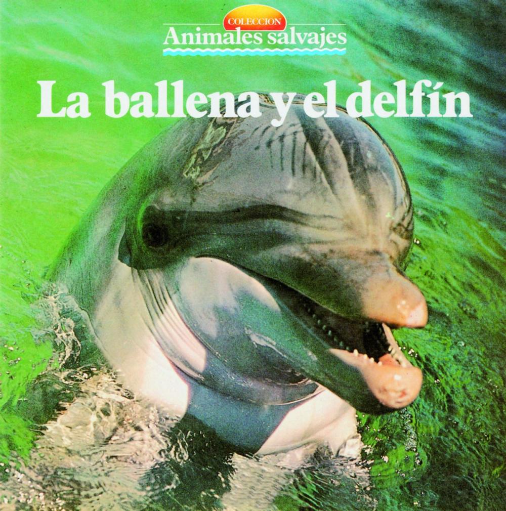 Big bigCover of La ballena y el delfin