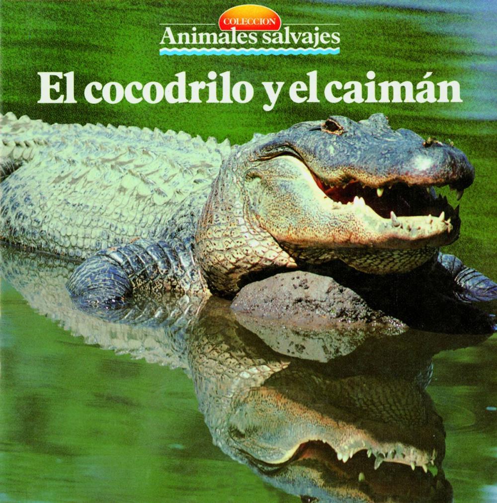 Big bigCover of El cocodrilo y el caimán