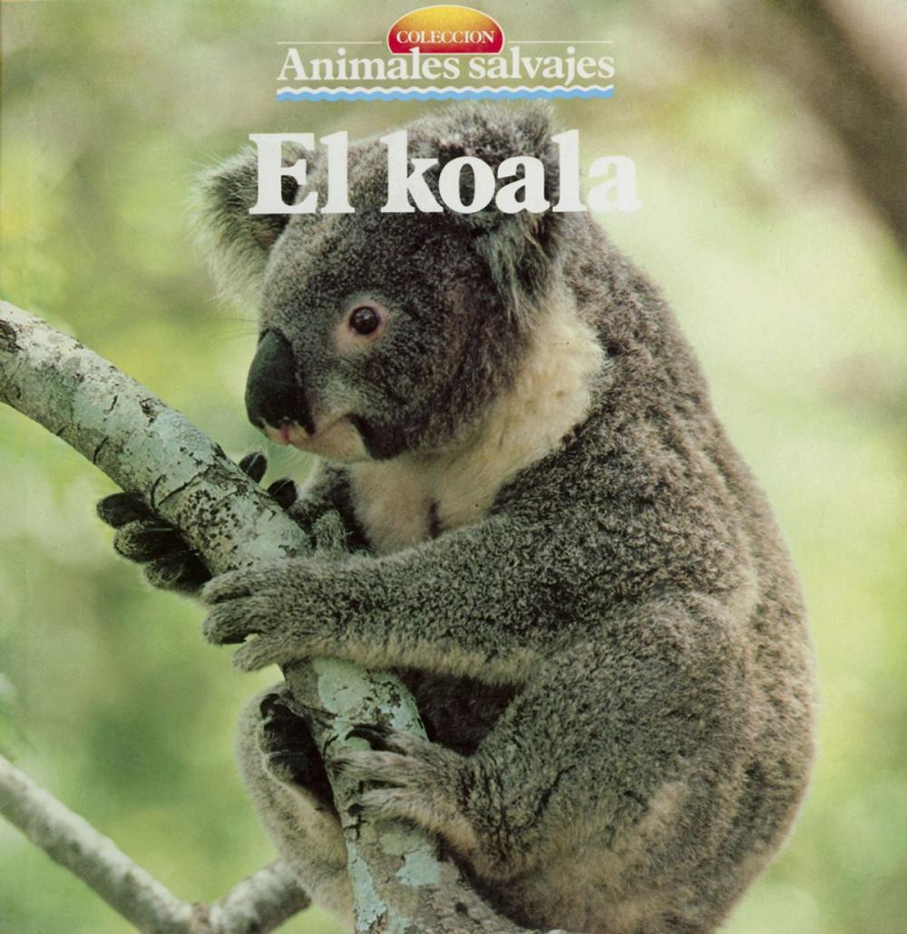 Big bigCover of El koala