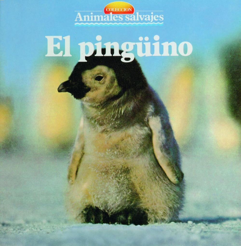 Big bigCover of El pingüino