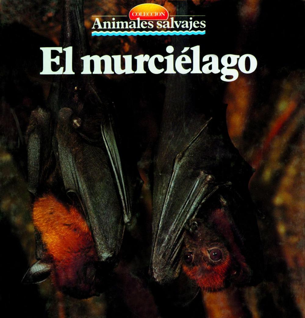 Big bigCover of El murciélago