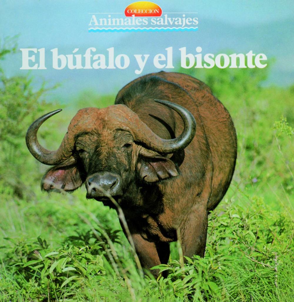 Big bigCover of El búfalo y el bisonte