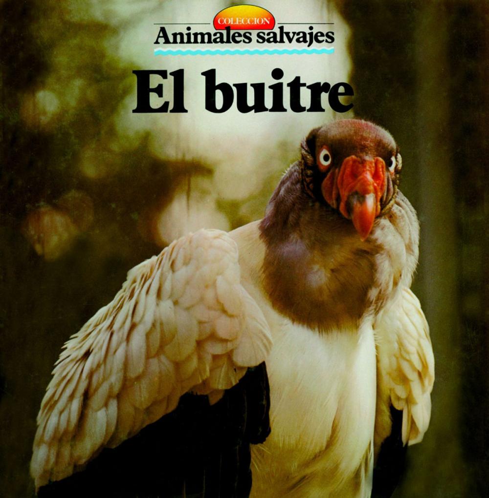 Big bigCover of El buitre