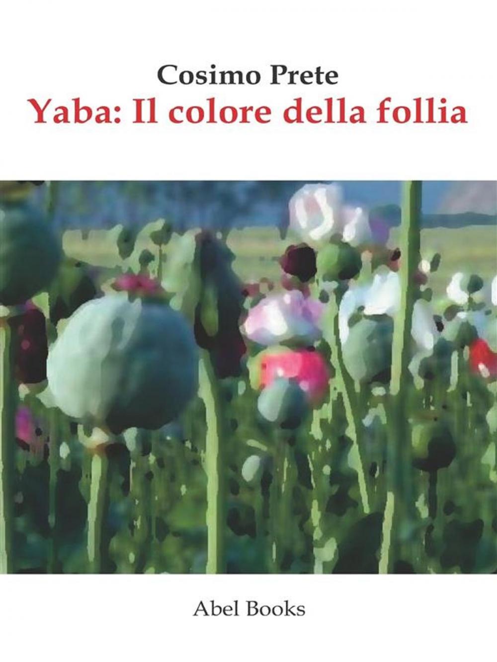 Big bigCover of Yaba, il colore della follia