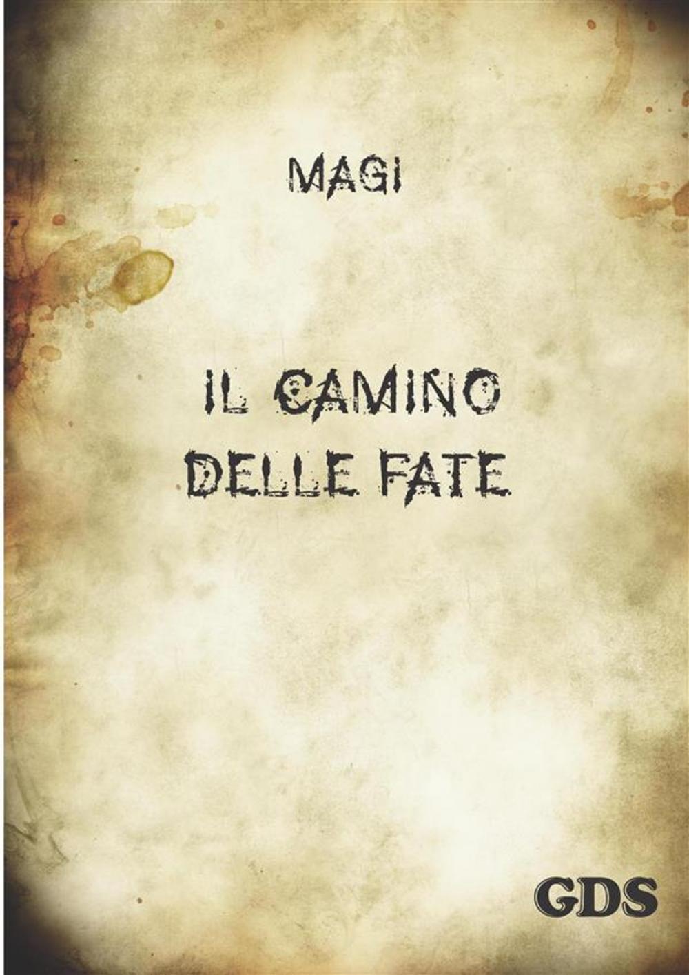 Big bigCover of il camino delle fate