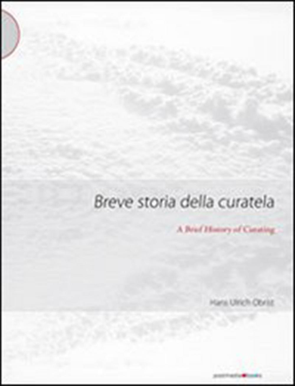 Big bigCover of Breve storia della curatela